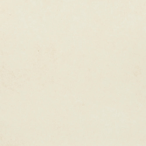 French Wash in Toile with Savage Silk base