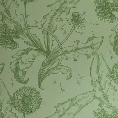 Dandelion in Celadon Green